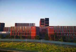 惠山区艺术花卉租赁厂家