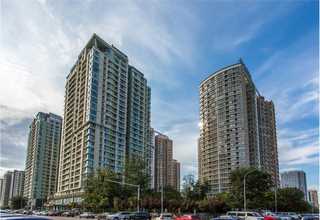 崇明区自动化运动捕捉系统