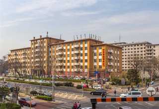 静安区正规社区绿化有哪些