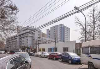 粉末运输到国外可以吗