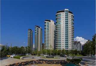 纸球上门切纸服务热线